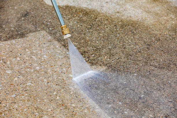 Animal Enclosure Cleaning in Pasadena Hills, FL