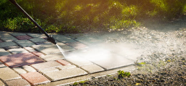 Best Driveway Pressure Washing  in Pasadena Hills, FL