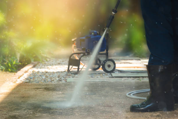 Best Gutter Cleaning  in Pasadena Hills, FL